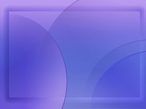 宠物空调房注意事项，避免着凉方法